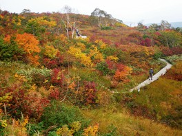 自然遊歩道からは鮮やかに染まる山々を見られる