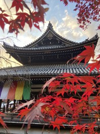 秋には境内がモミジで真っ赤に染まる