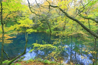 紅葉 秋の十二湖33湖めぐり 中止となりました 青森県 の情報 ウォーカープラス