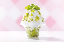 静岡県「ヨーグルトと奏でる甘酸っぱい夏 掛川産キウイフルーツ」(新作)