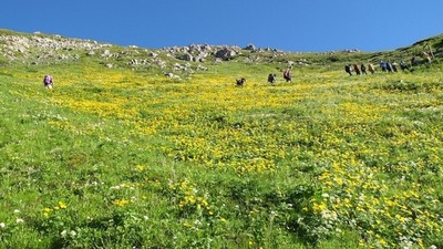 日本屈指 ユネスコエコパークに咲く天空の花畑 静岡県 の情報 ウォーカープラス