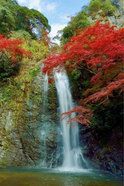 深紅の紅葉と迫力の滝のコントラストが美しい