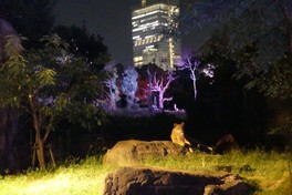 天王寺動物園の夏の風物詩