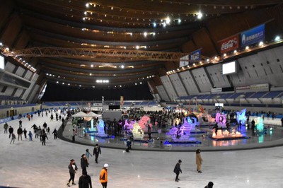 第21回 氷の彫刻展 In エムウェーブ 長野県 の情報 ウォーカープラス