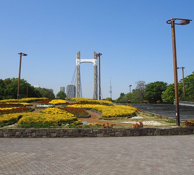 木場公園フリーマーケット
