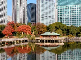 潮入の池周辺の紅葉