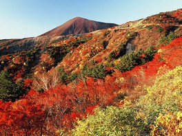 紅葉の見所として毎年多くの観光客が訪れる