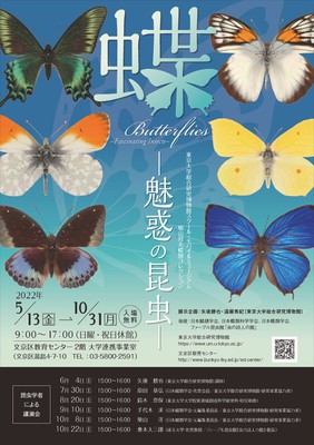 蝶 －魅惑の昆虫－(東京都)の情報｜ウォーカープラス