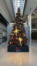 1階フロアにクリスマスツリーが登場 ※画像はイメージ