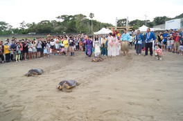 うみがめをテーマにした祭典で、美波町が祭りの空気に包まれる