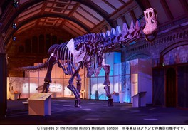 パタゴティタン・マヨルムの全長約37メートルにおよぶ全身復元骨格標本 ※画像はロンドンでの展示の様子