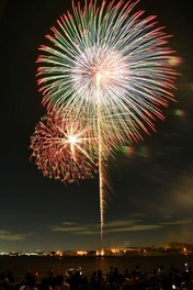 会場を鮮やかに彩る花火