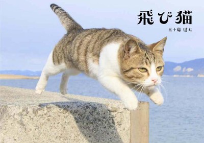 五十嵐健太 飛び猫写真展　同時開催　もふあつめ展
