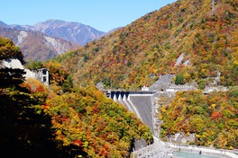 ダム両側の渓谷に広がる紅葉