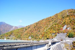 ダム両側の渓谷に広がる紅葉