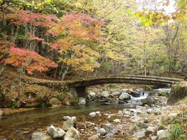 散策しながら紅葉を楽しめる