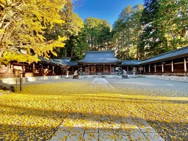 神門の中にあるイチョウが黄色く染まる