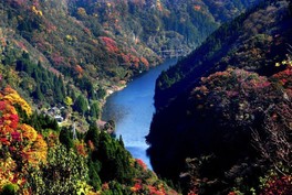 展望台から見渡す絶景