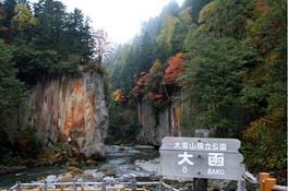 巨大な岩壁が並ぶ壮大な景観が広がる