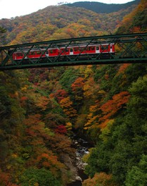 深い渓谷に紅葉が映え渡る