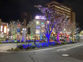 亀有駅前がイルミネーションで飾られる