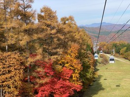 ゴンドラの周りには紅葉の絶景が広がる