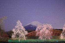 御殿場市 静岡県のイベント おでかけ情報 ウォーカープラス