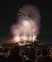 夜空に広がる虹色の華やかな大輪