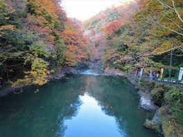 深い緑に紅葉の赤や黄が散りばめられる