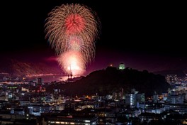 豪快な花火の数々が夜空を賑やかに彩る