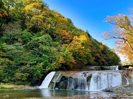 滝と紅葉のコントラストが美しい