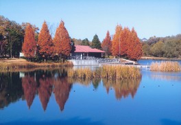 冒険の湖ではカヌー体験教室を開催(春・夏)