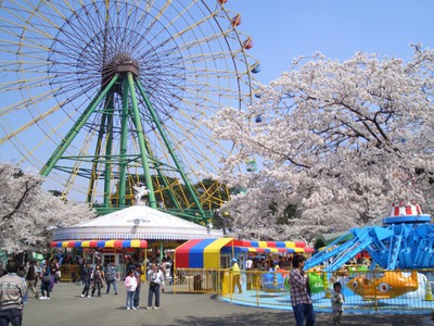 桜 見ごろ 華蔵寺公園 群馬県 の情報 ウォーカープラス