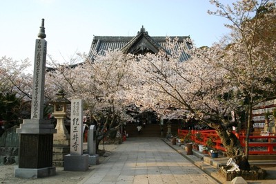 紀三井寺 桜まつり 和歌山県 の情報 ウォーカープラス