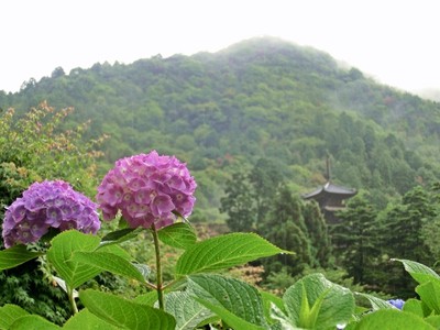 第12回 備前市大瀧山西法院 あじさい祭り 岡山県 の情報 ウォーカープラス