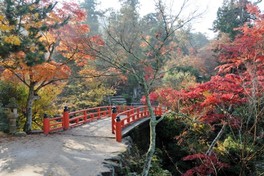 【紅葉・見ごろ】紅葉谷公園(広島県)の情報｜ウォーカープラス