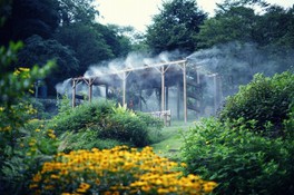 兵庫県神戸市の花 自然情報一覧 3件 ウォーカープラス