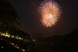 夜空に咲く花火は見る人を釘付けにする
