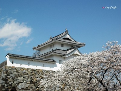 桜 見ごろ 舞鶴城公園 山梨県 の情報 ウォーカープラス