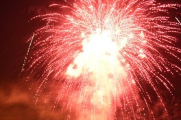 花開く大輪は、写真映えすること間違いなし