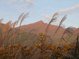 周辺一帯が「祖母傾国定公園」に指定されている