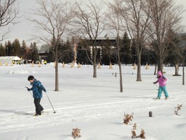 子どもも楽しめる歩くスキー