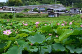 関西の夏休みイベント一覧 夏休みおでかけガイド21 ウォーカープラス