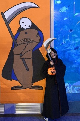 ファンタジックハロウィン2018