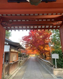 朱塗りの表門と紅葉がとても綺麗だ