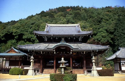 紅葉 見ごろ 三室戸寺 京都府 の情報 ウォーカープラス