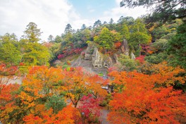 国名勝に指定されている奇岩遊仙境の展望は絶景