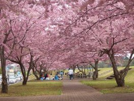 栃木県のgw ゴールデンウィーク イベント ゴールデンウィーク ウォーカープラス