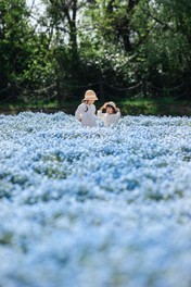 フラワーガーデンの美しい光景