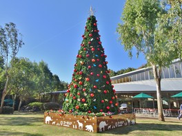 約8メートルの巨大なクリスマスツリーが来園者をお出迎え